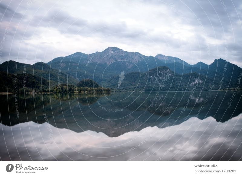 mirror mirror mirror Environment Nature Landscape Plant Sky Bad weather Alps Mountain Lakeside Calm Reflection Mirror Mirror image Idyll Picturesque Serene
