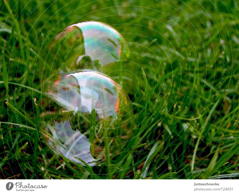 With a prick everything is gone Soap bubble Glittering Rainbow Playing Green Dazzling Blow Dream Magic Plop! Caustic solution Transience Peace Wind Sphere