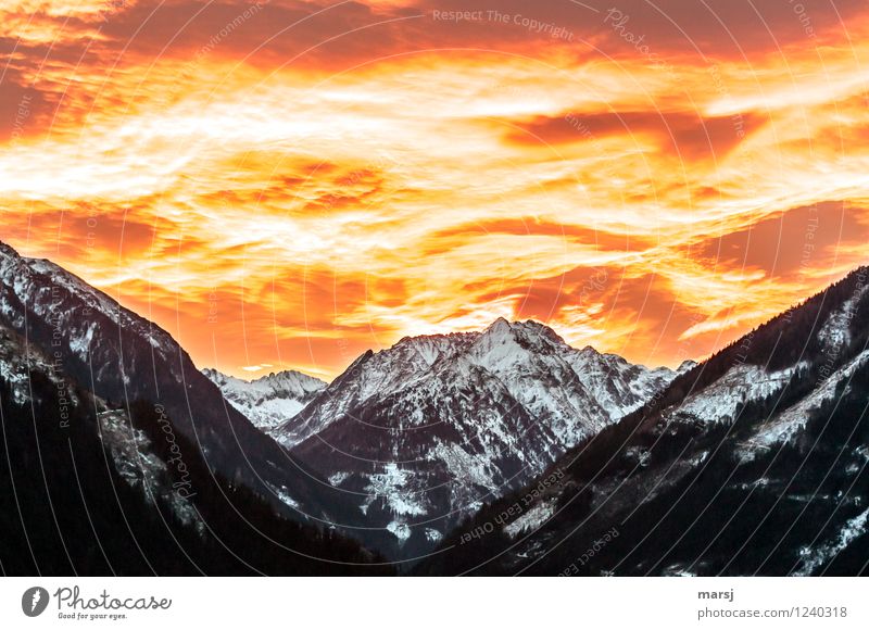 The sky's on fire! Sky Clouds Sunrise Sunset Spring Autumn Climate Weather Beautiful weather Warmth Alps Mountain Peak Snowcapped peak Apocalyptic sentiment