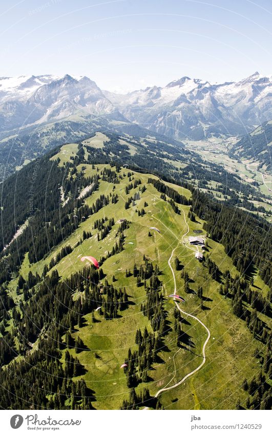 Wispile - Staldenhorn - Reason V Well-being Contentment Relaxation Calm Trip Freedom Summer Mountain Sports Paragliding Sporting Complex Nature Landscape