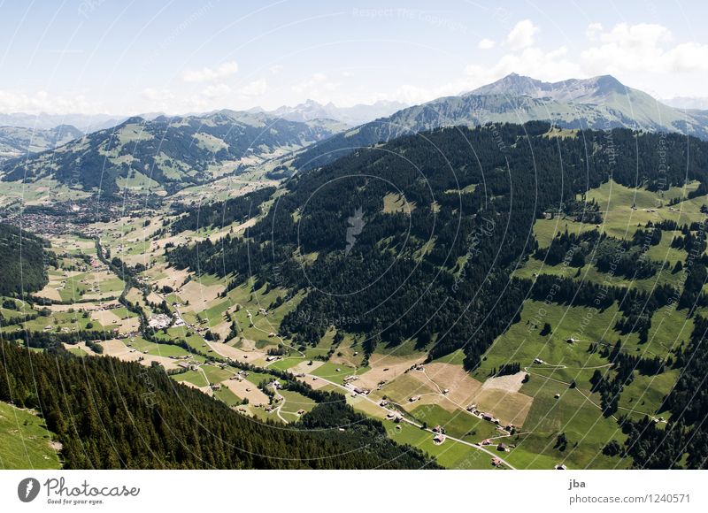 Wispile - Staldenhorn - Reason XI Well-being Contentment Relaxation Calm Trip Freedom Summer Mountain Sports Paragliding Sporting Complex Nature Elements Air