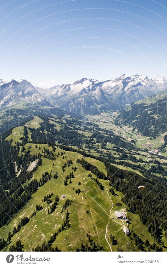 Wispile - Staldenhorn - Reason VI Well-being Contentment Relaxation Calm Trip Freedom Summer Mountain Sports Paragliding Sporting Complex Nature Landscape