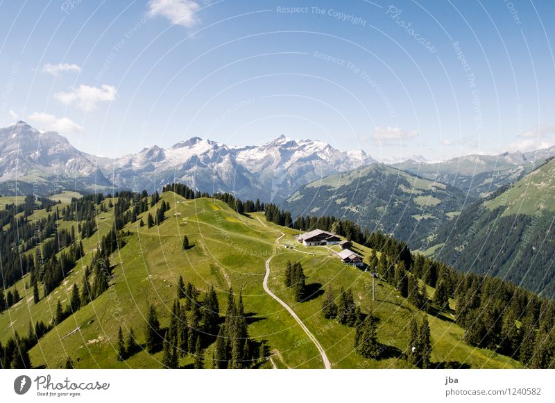 Wispile - Staldenhorn - Reason I Well-being Contentment Relaxation Calm Trip Freedom Summer Mountain Sports Paragliding Sporting Complex Nature Landscape