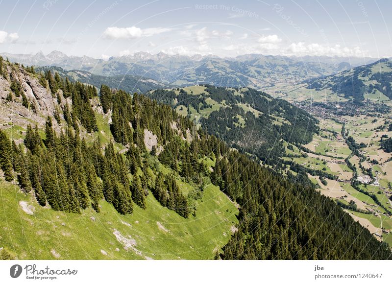 Wispile - Staldenhorn - Reason XII Well-being Contentment Relaxation Calm Trip Freedom Summer Mountain Sports Paragliding Sporting Complex Nature Elements Air