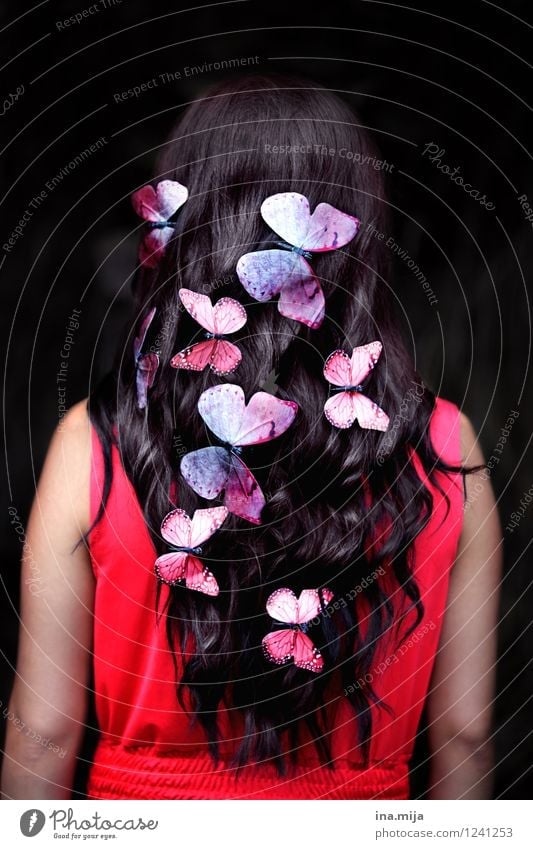 butterflies Beautiful Hair and hairstyles Human being Feminine Youth (Young adults) Adults 1 18 - 30 years 30 - 45 years Spring Summer Accessory Black-haired