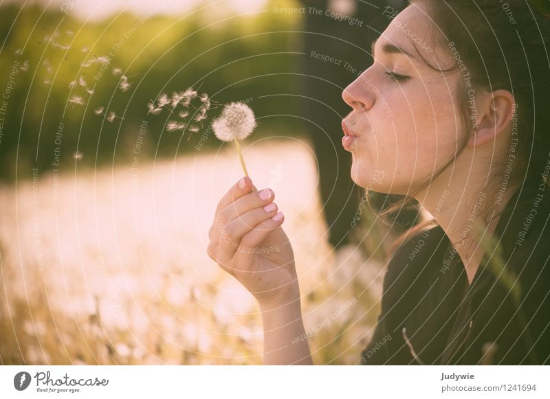 Childhood memory | blowing dandelions Beautiful Relaxation Calm Summer Human being Feminine Young woman Youth (Young adults) Adults 13 - 18 years 18 - 30 years