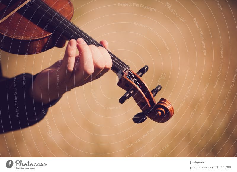 finger exercise Leisure and hobbies Playing Summer Music Human being Masculine Hand Concert Outdoor festival Musician Violin Nature Autumn Beautiful weather
