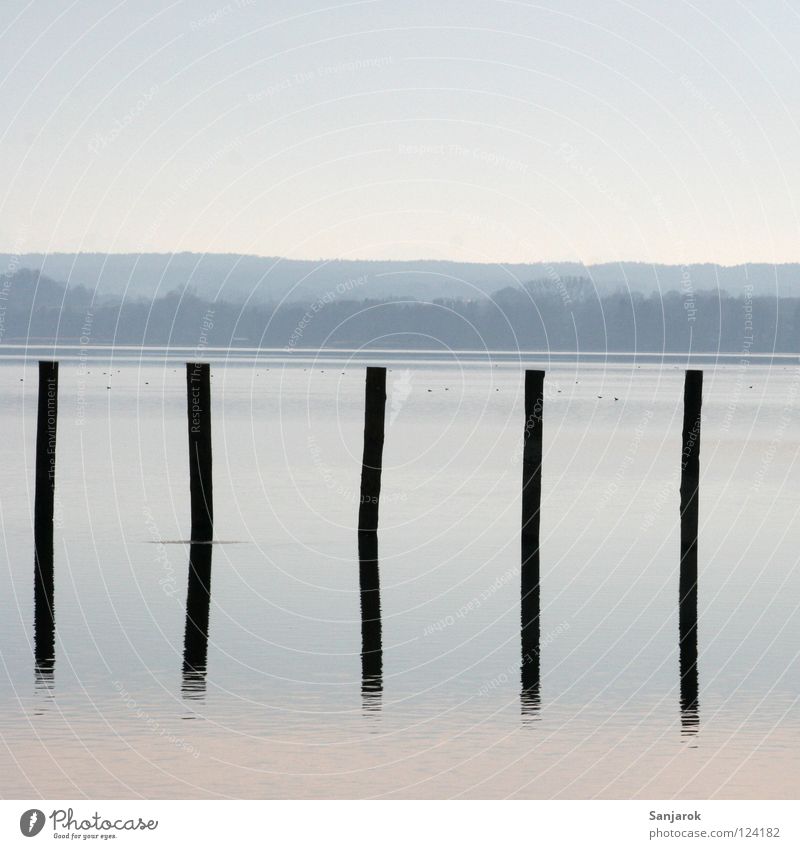 Invitation to sit on piles Lake Reflection Horizon Moody Waves Surface of water Pastel tone Tree Forest Weekend Hiking Morning Dusk Twilight Rhythm Smoothness