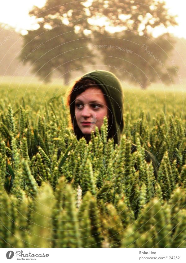 corn girl Wheat Tree Green Horizon Loneliness Yellow Grain Nature Blur left Hide