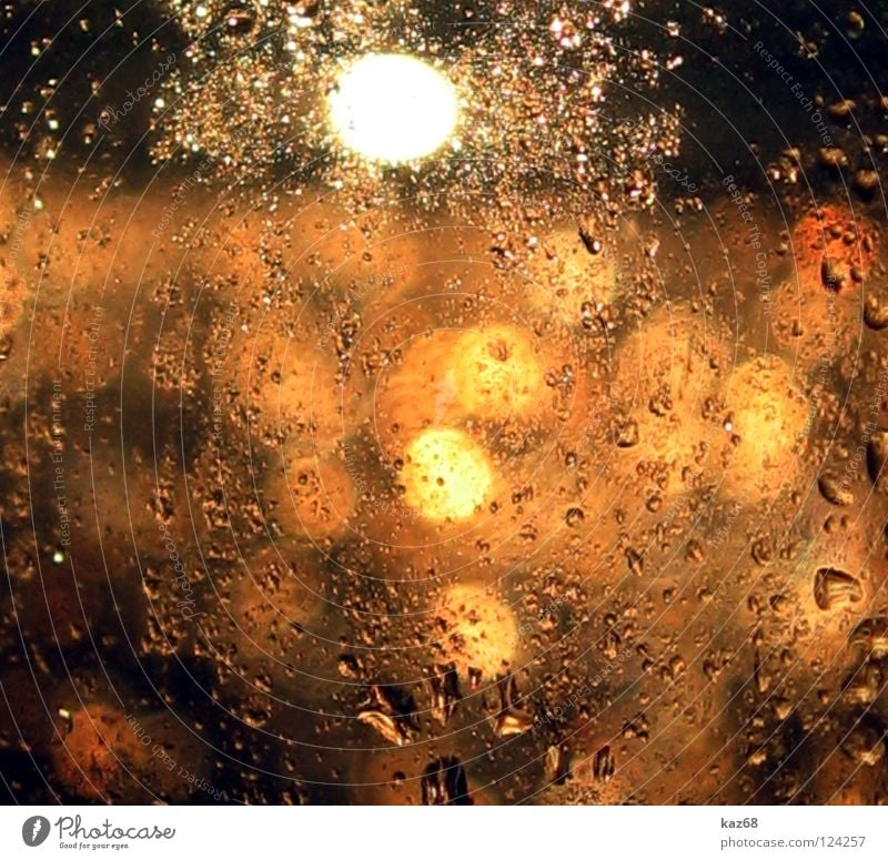 shower of gold Drops of water Window Wet Damp Rich Background picture Light Yellow Red Glittering Water Rain Window pane Flare Precipitation Patch of light