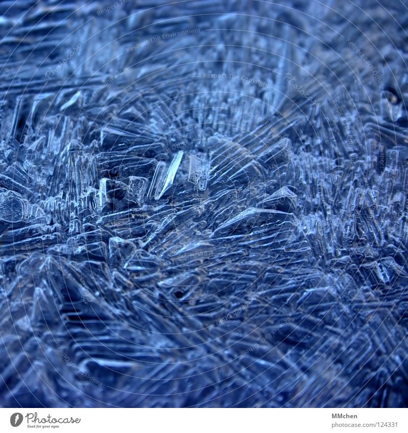 Eifel: -2°C Frozen Cold Ice crystal Arrangement Motionless Winter ossified Frost Crystal structure crystallized 0° freezing point Weather Blue
