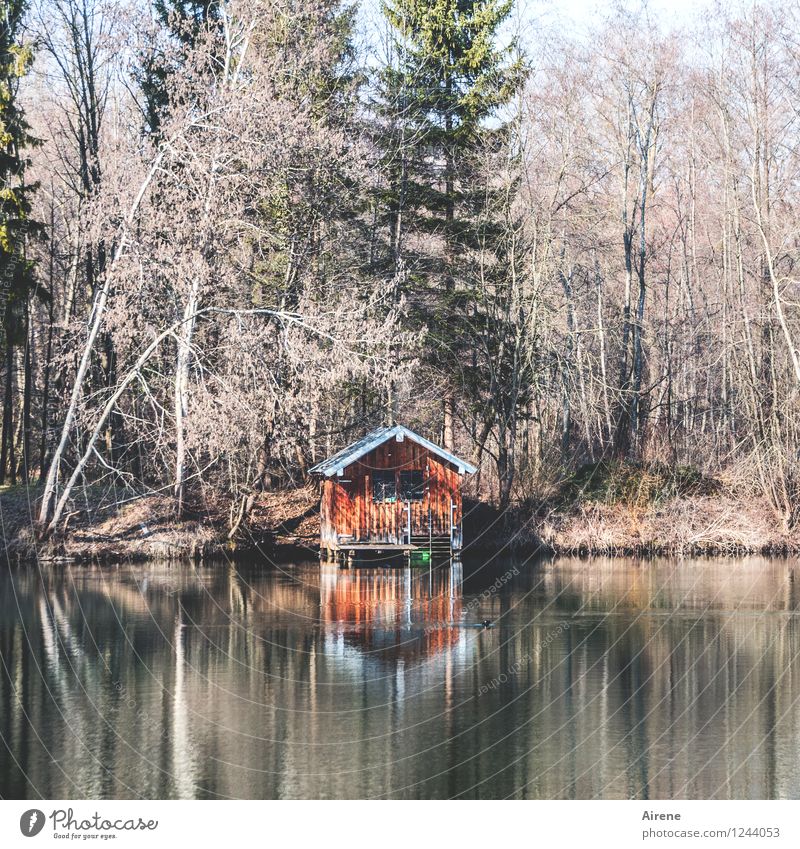 when everything becomes too much again... Forest Lakeside Pond Hut Barn Boathouse Old Positive Brown Orange Red To console Relaxation Calm Loneliness