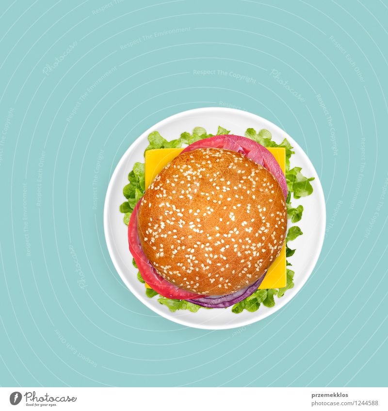 Sandwich on plain green background Cheese Vegetable Nutrition Lunch Dinner Fast food Plate Bright Juicy Green American burger Cheeseburger directly above fat