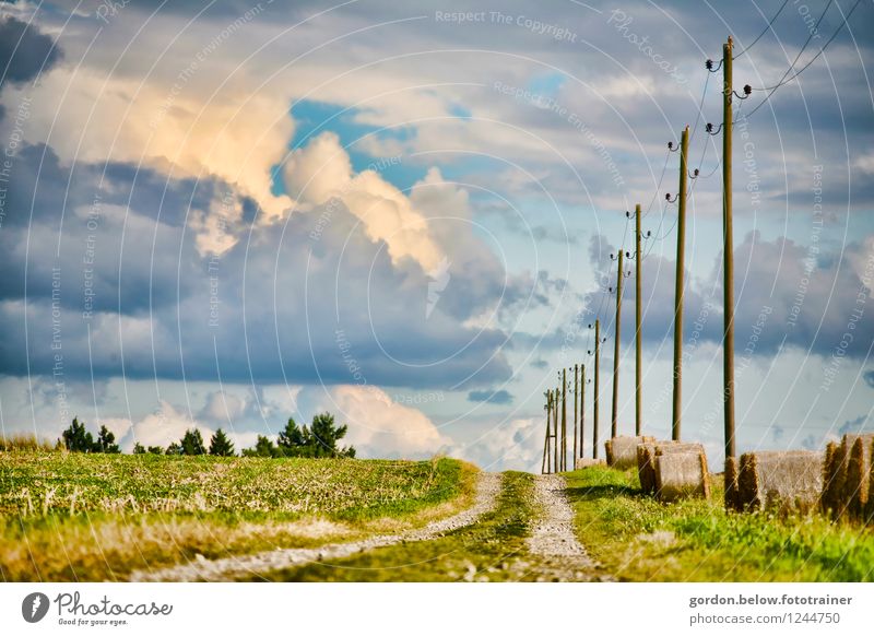 when the clouds come Environment Landscape Sky Clouds Storm clouds Summer Meadow Village Deserted Blue Yellow Green Horizon Footpath Electricity pylon