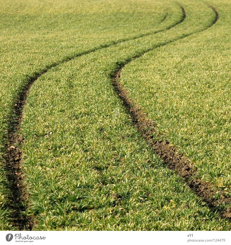 All drunk or what? Field Green Tracks Across Tractor track Alcohol-fueled Warped Waves Undulating Grass Meadow Lanes & trails Crazy Curve Uneven Exterior shot