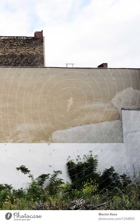 city view Bushes Town House (Residential Structure) Building Wall (barrier) Wall (building) Facade Old Gloomy Brown White Moving (to change residence)