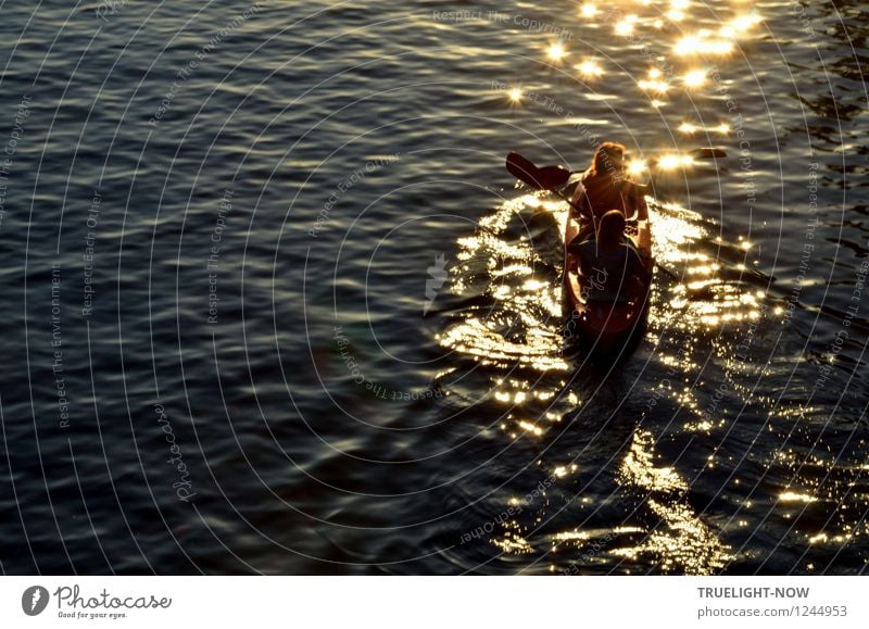Paddling into the evening sun Joy Athletic Leisure and hobbies Vacation & Travel Trip Freedom Summer Sun Waves Sports Aquatics Rowboat Human being Masculine