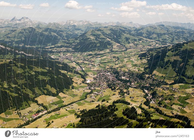 Gstaad from above Well-being Contentment Relaxation Calm Leisure and hobbies Trip Summer Mountain Sports Paragliding Sporting Complex Nature Elements Air