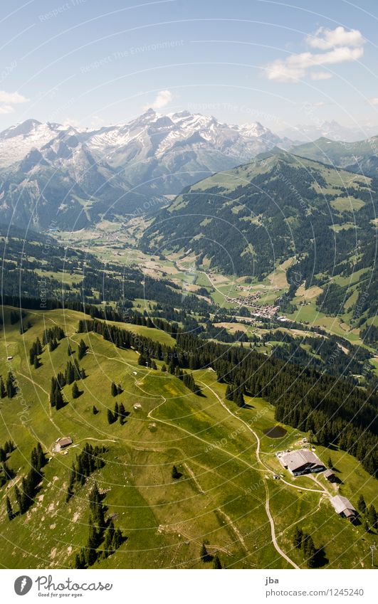 Saanenland from above Well-being Contentment Relaxation Calm Leisure and hobbies Trip Mountain Sports Paragliding Sporting Complex Nature Landscape Elements Air