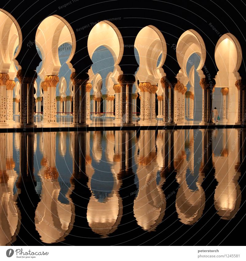 1001 night 3 Vacation & Travel Sightseeing Abu Dhabi Capital city Mosque Illuminate Esthetic Exotic Fantastic Round Emotions Moody Design Uniqueness Elegant