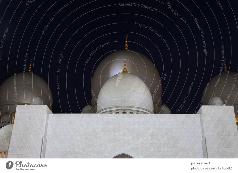1001 night 1 Vacation & Travel Sightseeing Abu Dhabi Mosque Domed roof Esthetic Exotic Large Round Emotions Passion Beautiful Belief Humble Design Elegant Hope