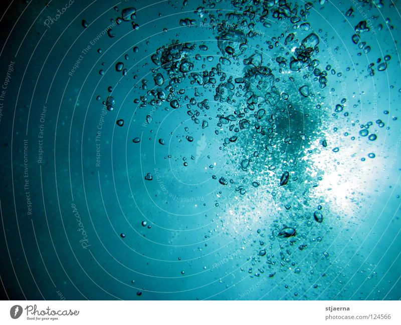 bubbles Water blister Surface of water Ocean Dive Breathe Underwater photo