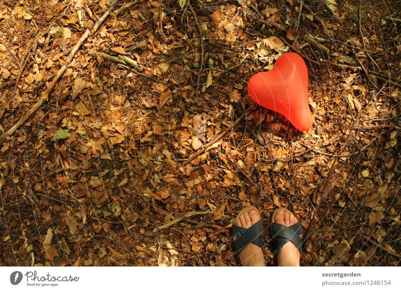 and the courage to act with. Summer To go for a walk Human being Woman Adults Feet 1 Nature Leaf Park Forest Sandal Balloon Sign Heart Brown Red Happy Sympathy