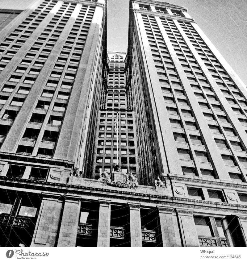 stiffness of the neck New York City High-rise USA Black & white photo Town