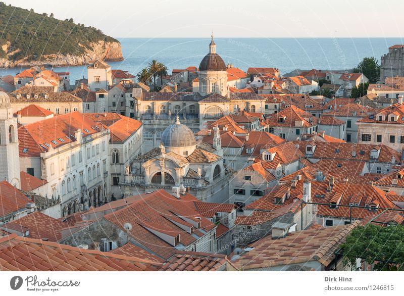 Old Town - Dubrovnik Port City Old town House (Residential Structure) Church Dome Building Architecture Roof Tourist Attraction Landmark Monument Authentic