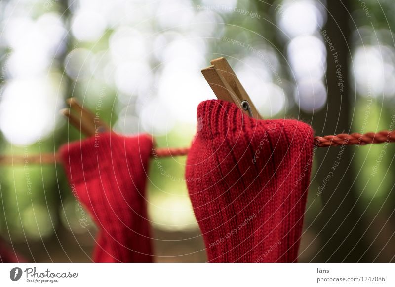 Forest Stockings Dry - a Royalty Free Stock Photo from Photocase