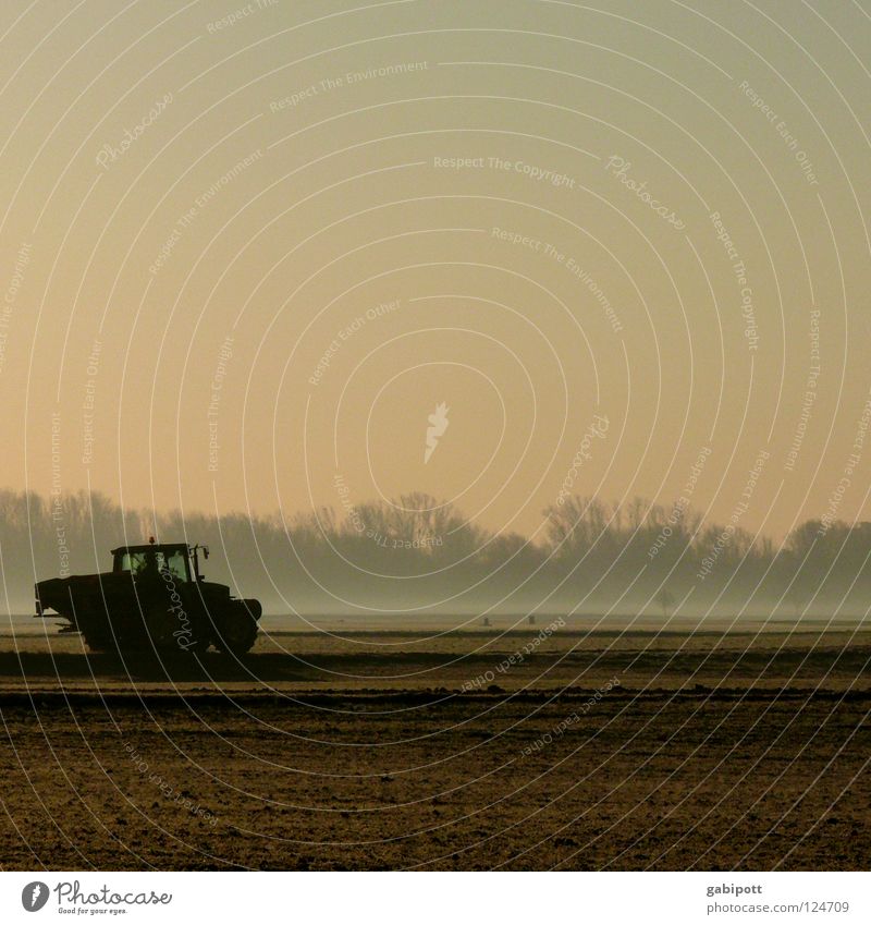 early riser Tractor Agriculture Farmer Working in the fields Field Hallway Meadow Forest Fog Morning Sunrise Manure Weed control Nitrogen Sowing Seeds