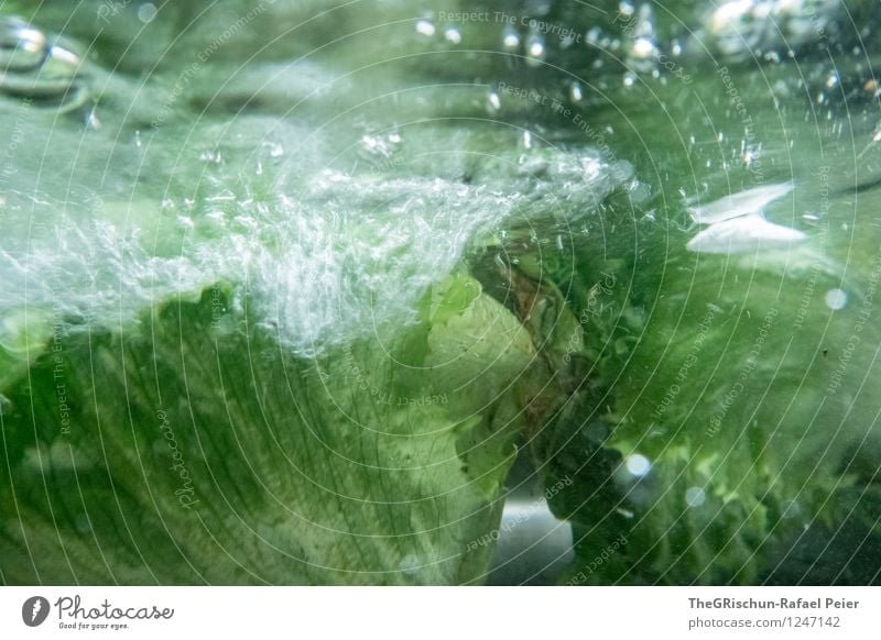 Salad cleaning like a boss Food Lettuce Green Black White Washing Tap Water reflection Underwater photo Underwater camera Air bubble Cleaning Leaf Essen