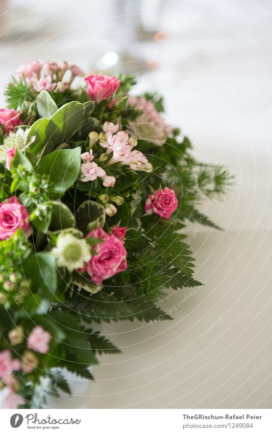 table decoration Nature Plant Rose Gray Green Violet Pink Turquoise White Table decoration Flower Detail Fern Bouquet Leaf Noble Decoration Food table Essen