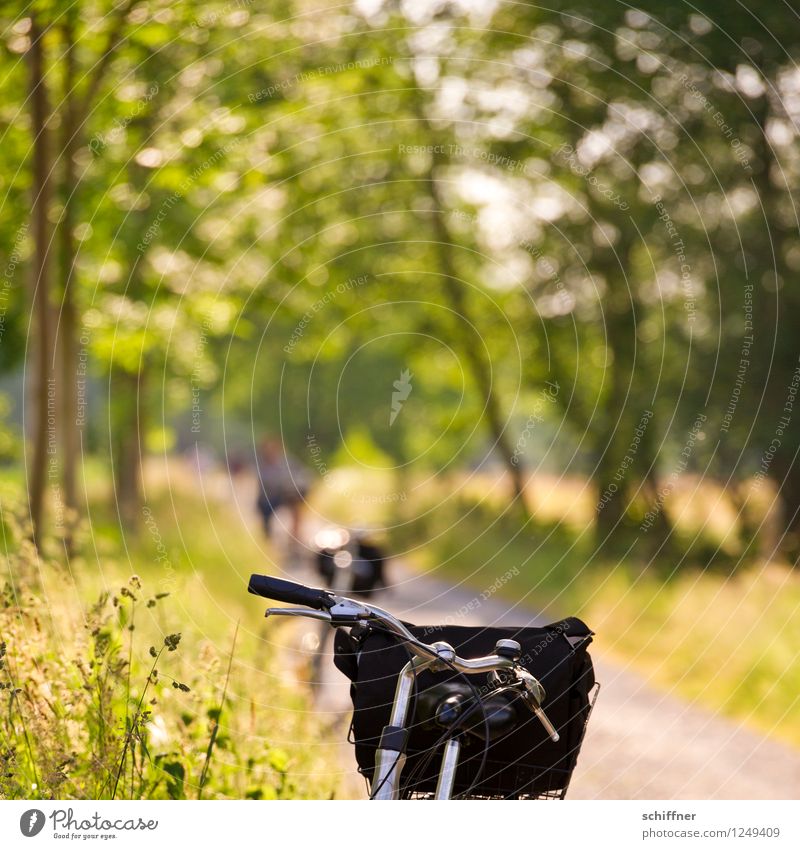 Spreedorado | Bicycle Dream Leisure and hobbies Vacation & Travel Tourism Trip Summer Summer vacation Sun Cycling Nature Landscape Sunlight Beautiful weather