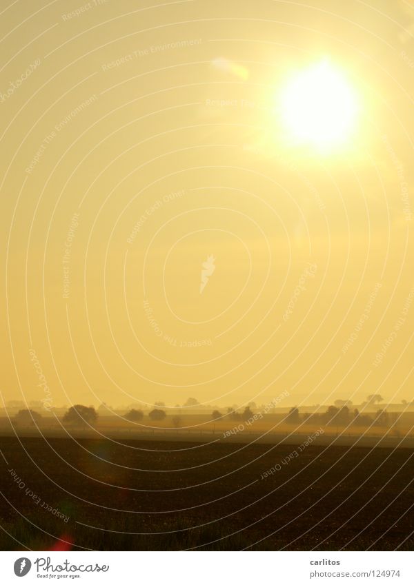 ray of hope Morning fog Fog Meadow Fence Haze Clouds Colorless Light Grass Shroud of fog Hope Dynamism Vail Sunrise Yellow Weather Dawn Rope Pasture Sky Joy