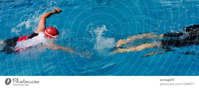 triathlon Sports Sporting event Triathlon Swimming Swimming & Bathing Swimming pool Human being Masculine 2 Athletic Blue Red Black White