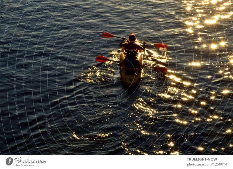 in the gold rush... Joy Healthy Fitness Wellness Senses Leisure and hobbies Trip Adventure Freedom Summer Sun Waves Aquatics "Paddling Canoe" Human being