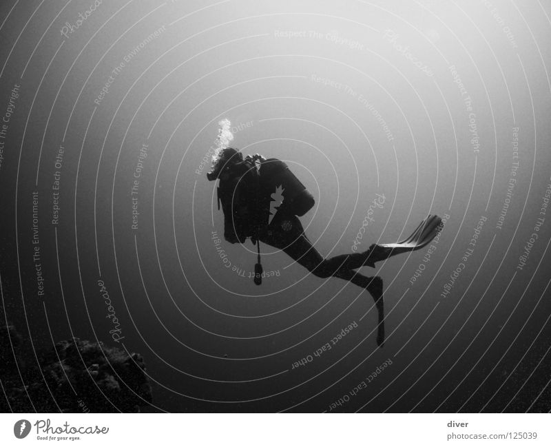 into the deep Dive Diver Hover Ocean Man Loneliness Underwater photo Aquatics Black & white photo diving Water Sports Human being