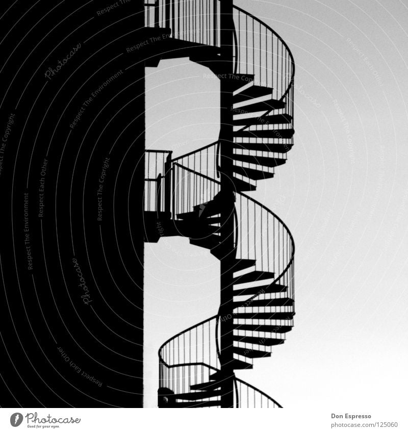 Helix_Noir Graphic Winding staircase Rotate Detail Black & white photo helix noir Handrail Stairs Snail Contrast Illustration Lanes & trails Bend Spiral