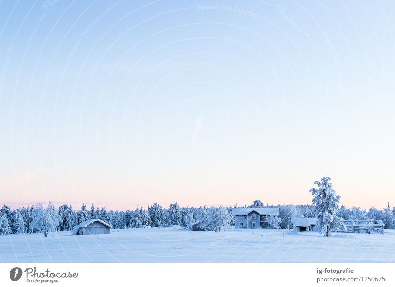 In Winterwonderland Snow House (Residential Structure) Lapland Sweden Fantastic Blue Orange White Emotions Lost abandoned Lost place Old Colour photo Deserted