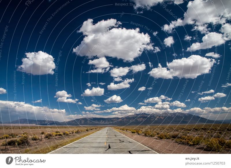 the next possible left... Vacation & Travel Adventure Far-off places Freedom Summer Summer vacation Nature Landscape Sky Clouds Climate change Bushes Mountain