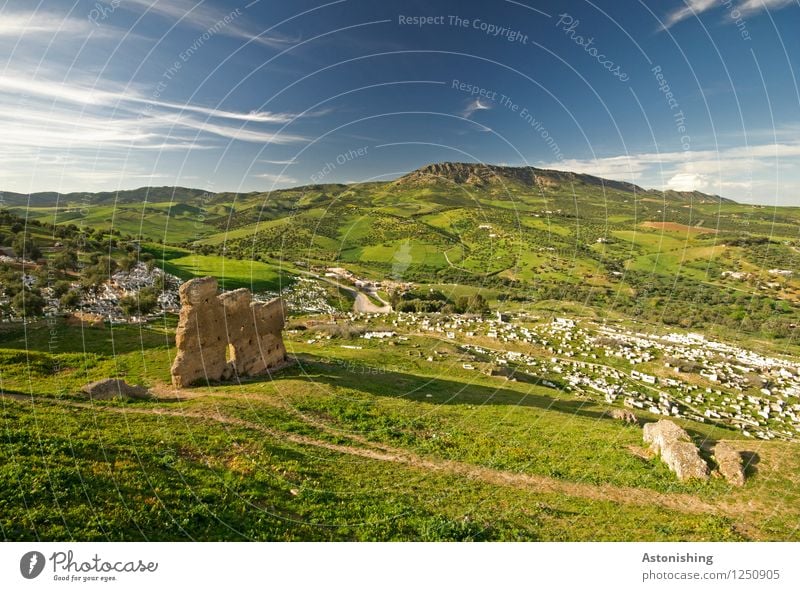 Ruins near Fes Environment Nature Landscape Plant Sky Clouds Horizon Summer Weather Beautiful weather Tree Grass Bushes Meadow Forest Hill Fez Morocco