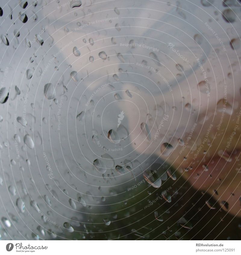 weather in welling Rain Look out Grief Bad weather Reflection Looking Moody Dark Damp Wet Future Vantage point Eyeglasses Woman Facial expression Blur Winter