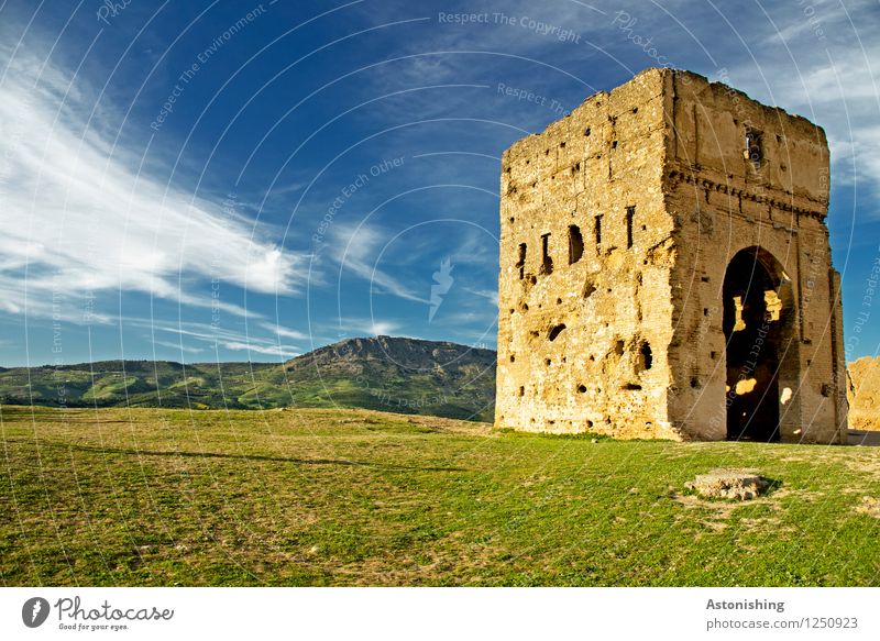 altertu(r)m I Environment Nature Landscape Sky Clouds Horizon Sun Sunrise Sunset Summer Weather Beautiful weather Plant Grass Forest Hill Rock Fez Morocco