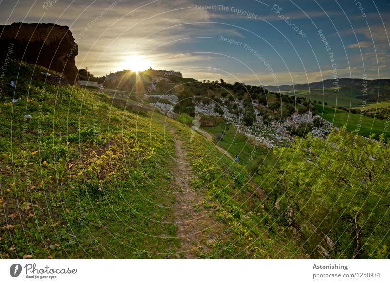 Sunset in Morocco Environment Nature Landscape Plant Air Sky Clouds Horizon Sunrise Sunlight Summer Weather Beautiful weather Warmth Tree Flower Grass Meadow