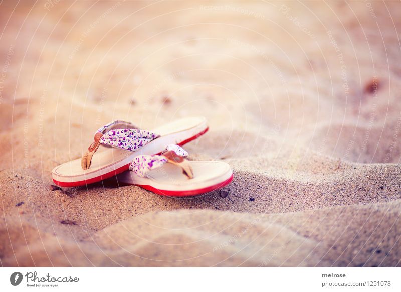 flotsam and jetsam Style Design Summer vacation Beach Sandy beach Landscape Sun Beautiful weather bathing shoes Flip-flops Flotsam and jetsam Swimming & Bathing