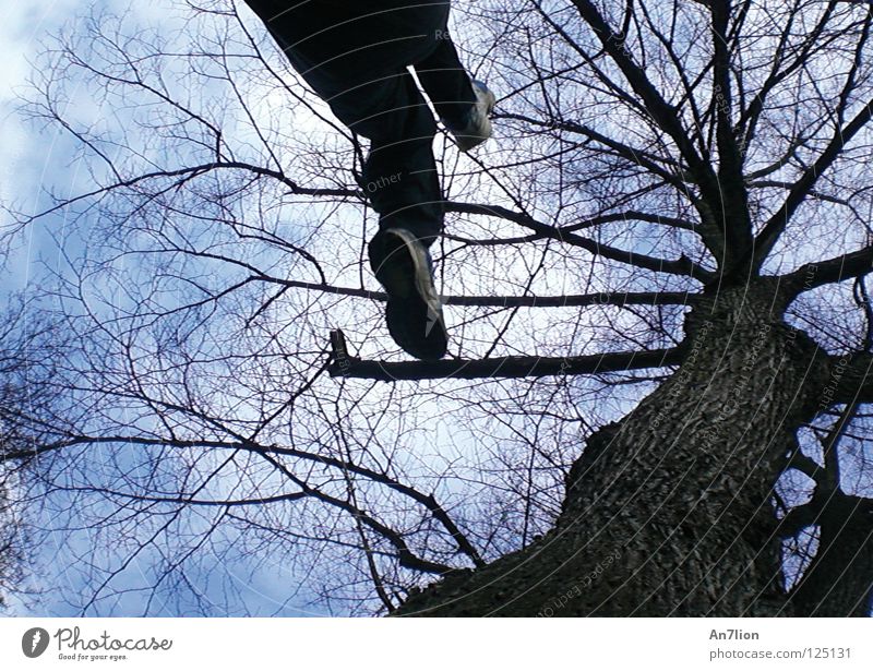 STEP TWO Tree Footwear Playing wallflip Sky traceur Nike Flying boyfriend