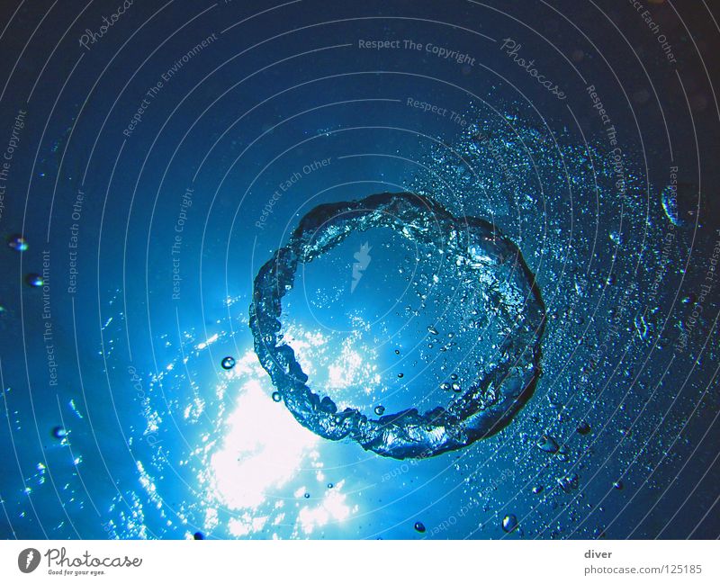 bladder ring Dive Sea water Surface Air bubble Round Light Ocean Experimental Playing Underwater photo Aquatics Water diving Blow Circle Structures and shapes
