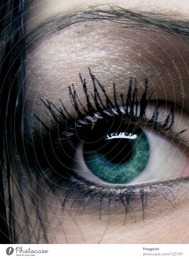 Dark Green Hair and hairstyles Face Make-up Mascara Eyes Black Mysterious Eyelash Eyebrow Pupil Mystic Eyeliner eye anni k. lashes Iris cryptic secret Close-up