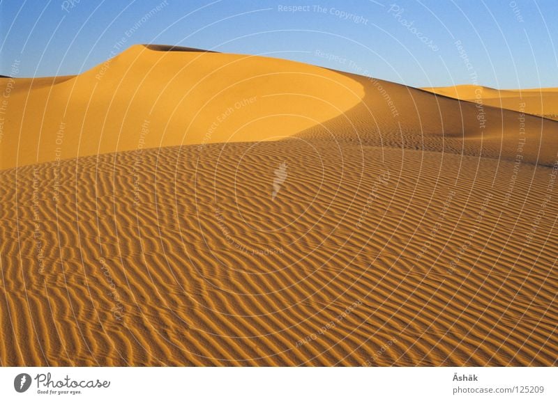 sand waves Africa Waves Niger Desert Sahara Sand Beach dune